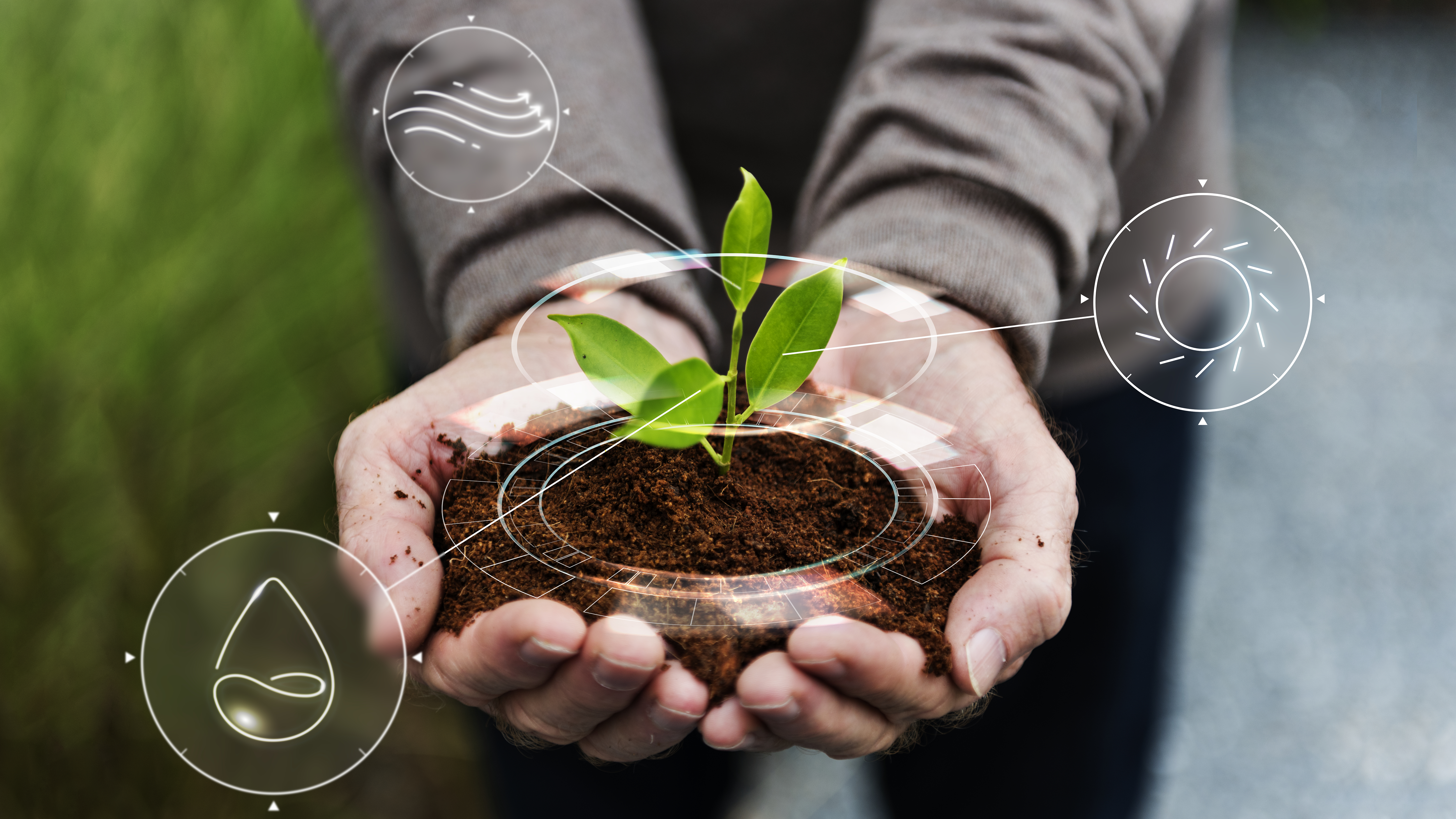 Sustainability Initiatives