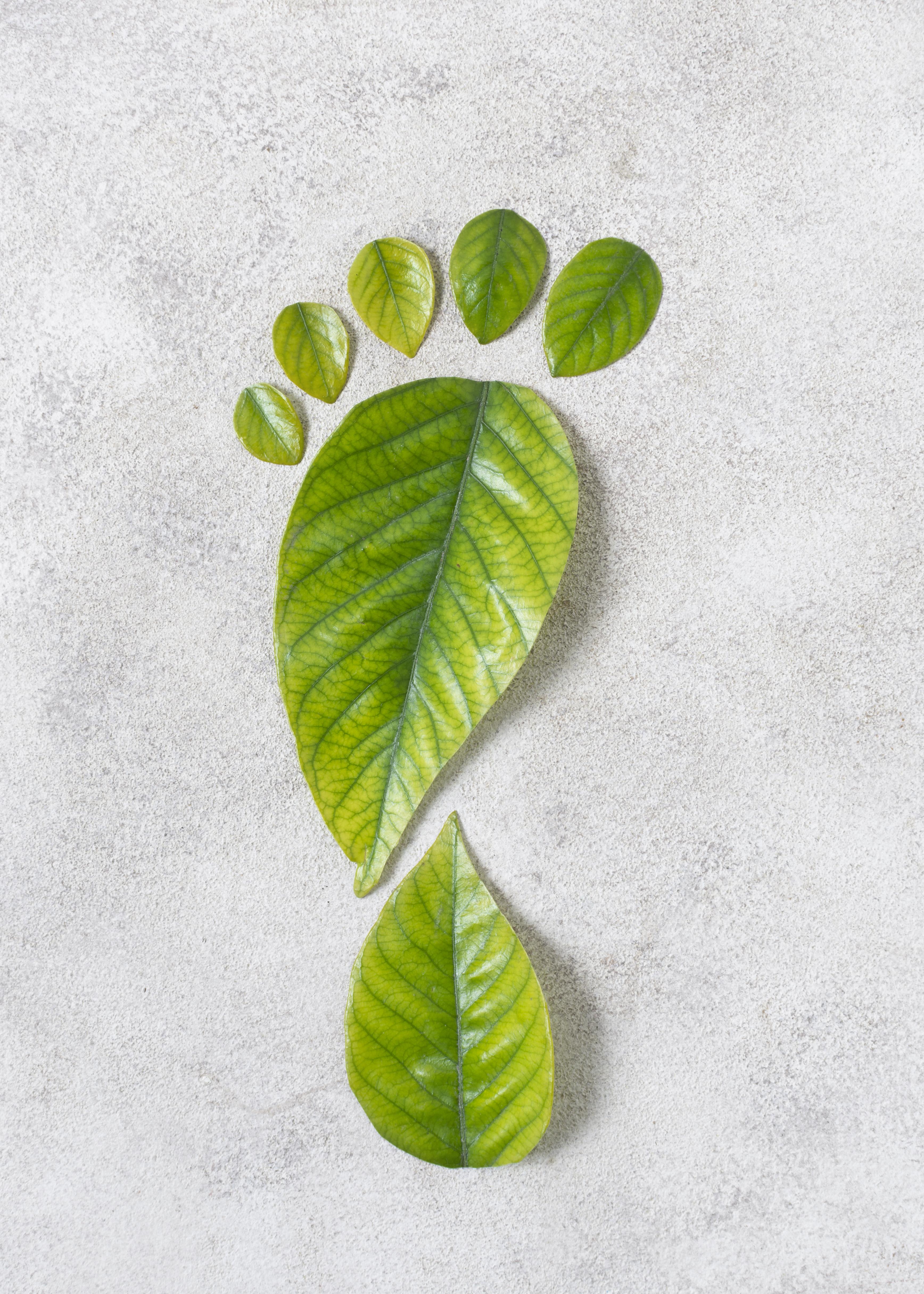 Environmental Protection