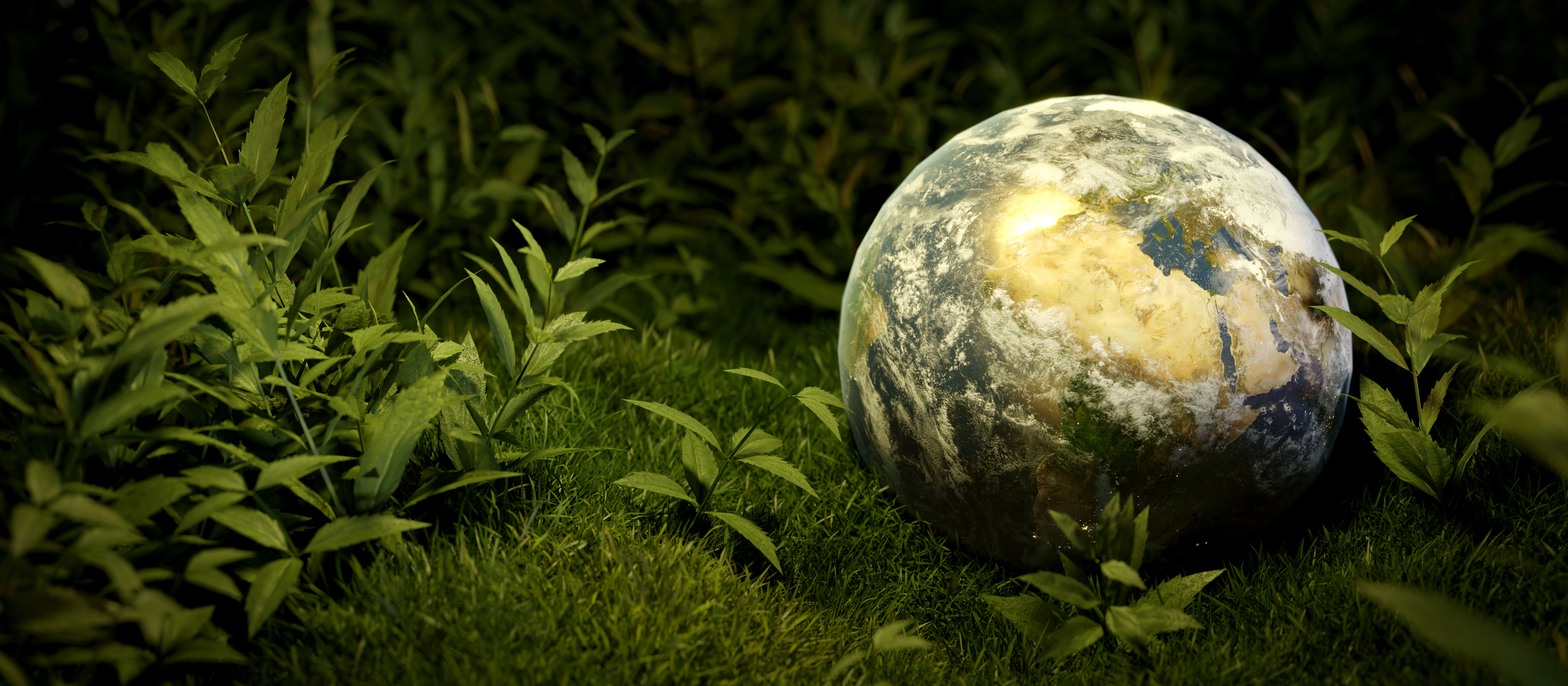 Green Initiatives